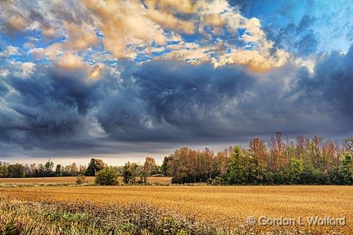 Autumn Landscape_17033.jpg - Photographed near Smiths Falls, Ontario, Canada.